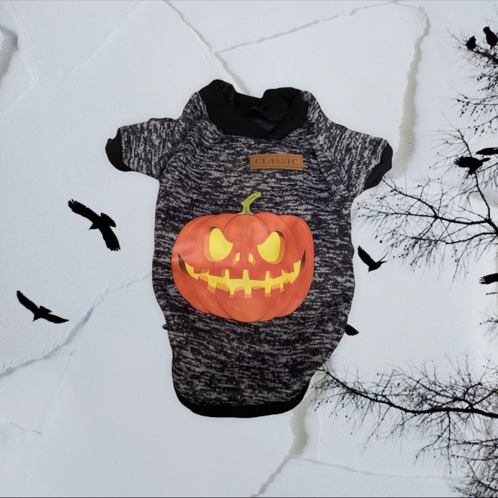 Large Pet Jack-o-Lantern Sweatshirt